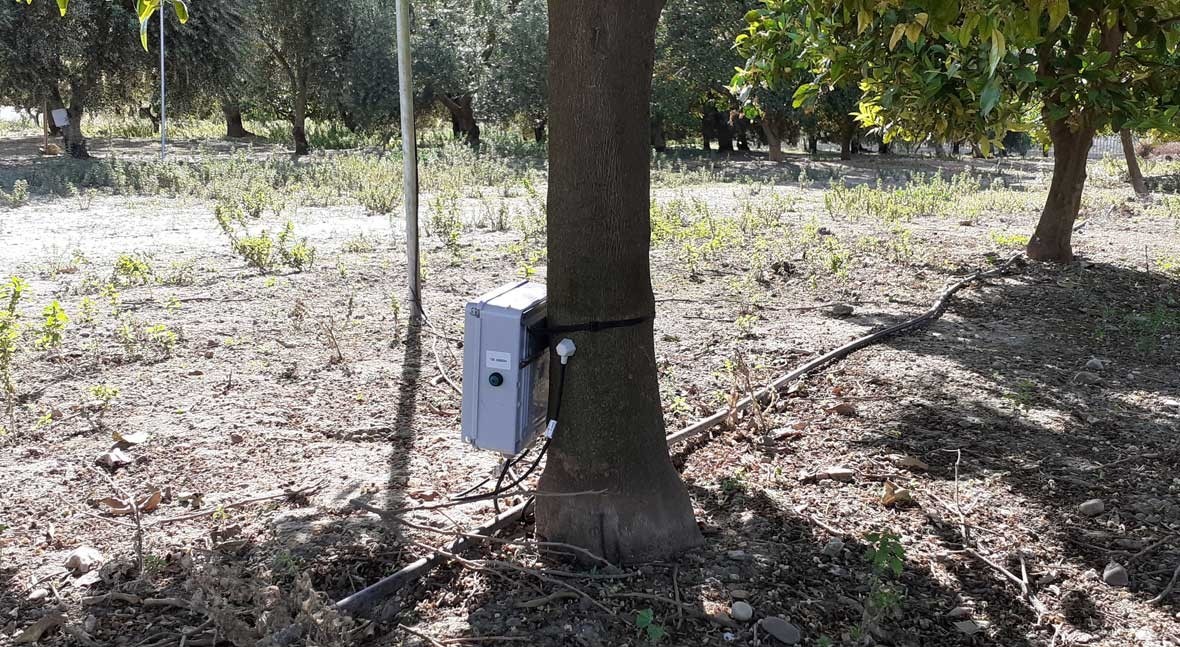 digitalización agricultura regadío