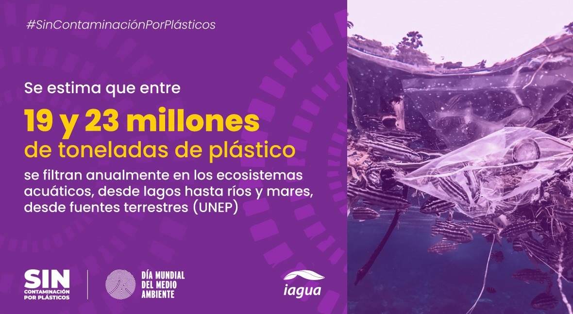 Día Mundial del Medio Ambiente 2023: contra la contaminación por plásticos en el agua