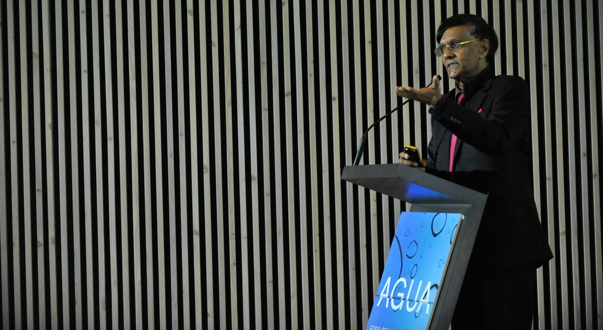 Munasinghe: "Es necesario que Gobiernos se comprometan lucha cambio climático"
