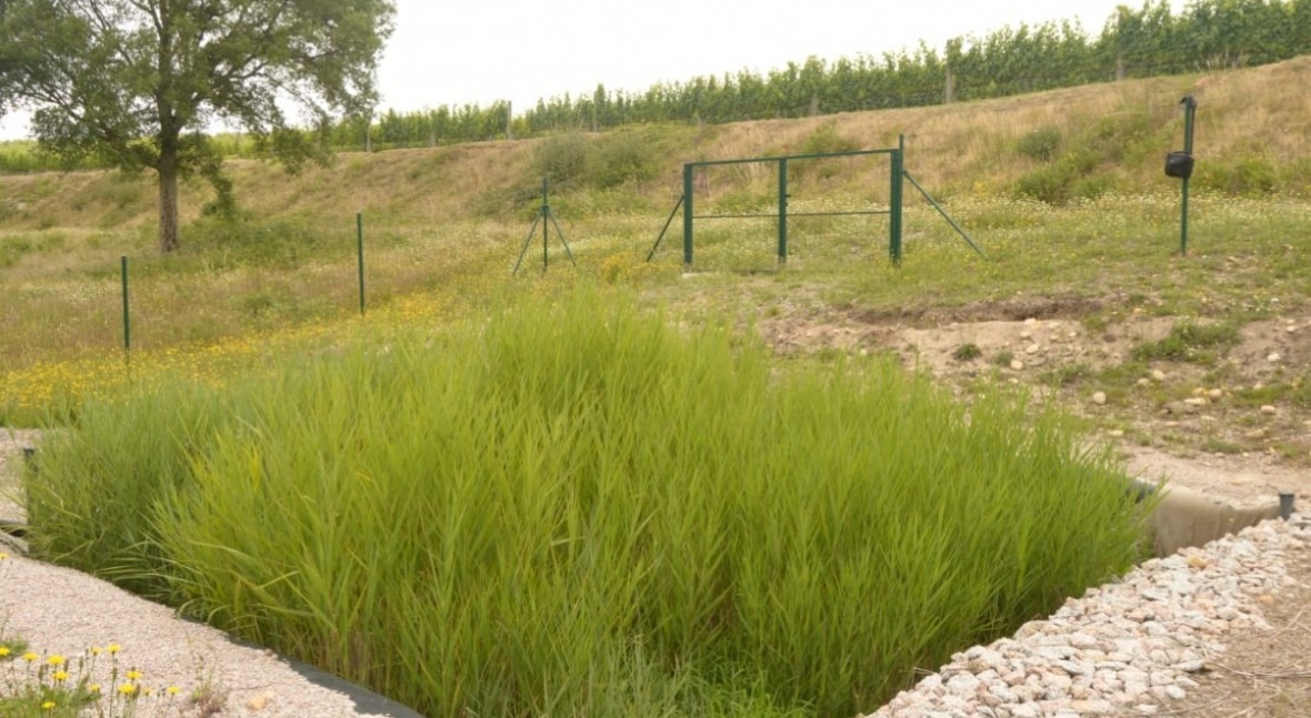 cambio sector residuos: LIFE GREEN ADAPT