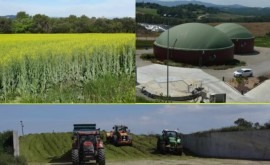Jornada “Uso cultivos captadores limitar lixiviación nitrógeno y optimizar producción biogás”