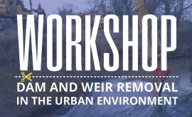 2º Dam Removal Europe Workshop. Retos técnicos y sociales eliminación presas y azudes medio urbano