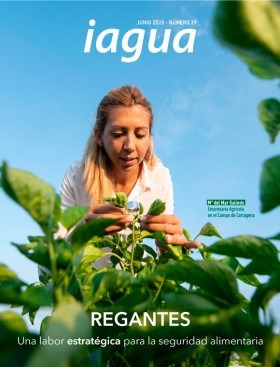 iAgua Magazine 29