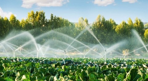 Perú: digitalizar gestión agua adoptar agricultura 4.0