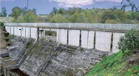 Presa Cea