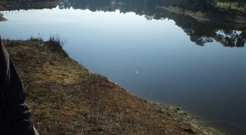 Presa Cerquilla, La