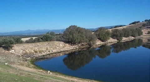 Presa Jarilla, La (Tajo)