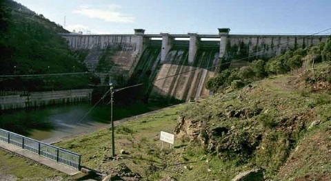 Presa Puente Nuevo