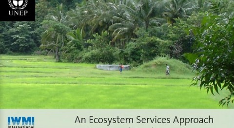 enfoque servicios ecosistemas aplicado al agua y seguridad alimentaria