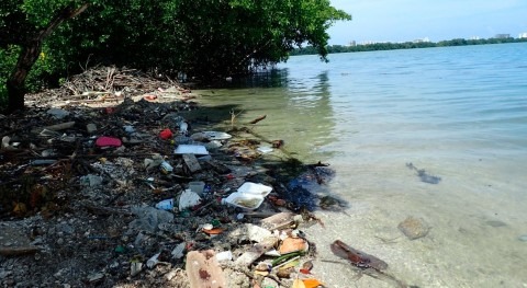 contaminación microplásticos también amenaza lagunas costeras todo planeta