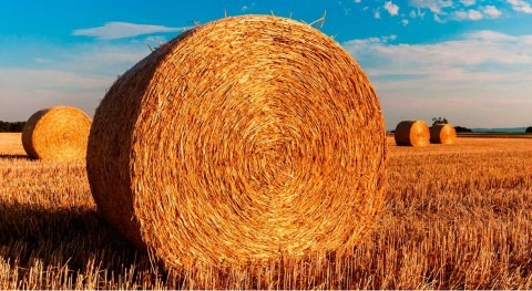 10 frases esenciales acerca gestión agua agricultura