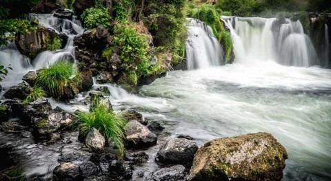 triclosán, desinfectante más común, es tóxico ecosistemas acuáticos