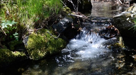 naturaleza conserva agua