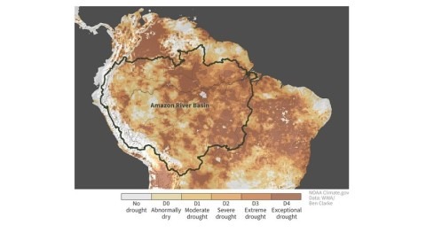 calentamiento global es más responsable que Niño actual sequía récord Amazonas