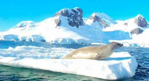 Argentina y Chile impulsan plan binacional proteger Antártica