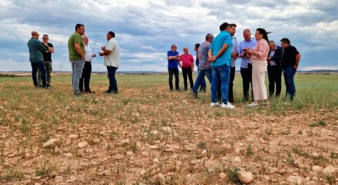 Gobierno Aragón delimita comarcas agrarias afectadas sequía