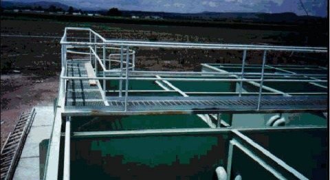 Tecnología ARTHROBACTER como alternativa tratamiento aguas residuales