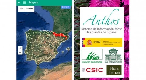 biodiversidad plantas España, ahora disponible app