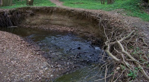 ¿Qué es avulsión fluvial?