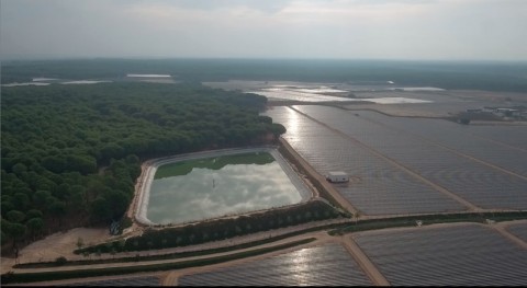 Continúa aumento regadíos Doñana que se ponga fin, WWF