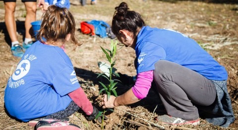 Global Omnium crea "Bosques agua" reducir huella carbono donde gestiona agua