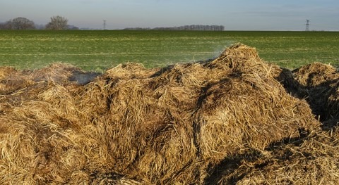 Posible influencia crecimiento ganadería intensiva calidad aguas España