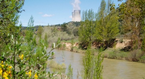 central nuclear Trillo no afecta al ecosistema acuático Tajo, estudio UCO