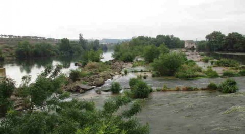 central hidroeléctrica Lodosa (Navarra) revierte al Estado