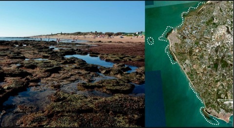 Científicos andaluces descubren ‘ Doñana Pleistoceno’ costas provincia Cádiz