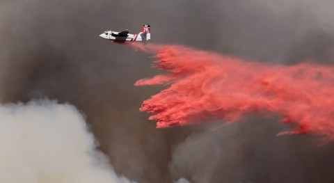 Cambio climático: desafío común