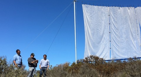CNR bonificará través concurso proyectos riego pequeños agricultores