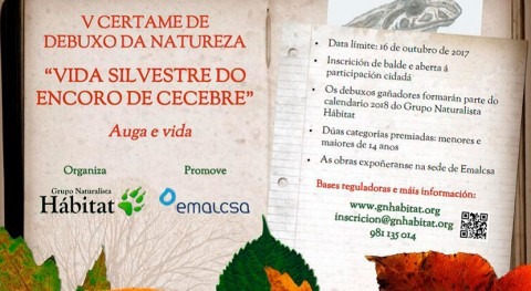 Llega V certamen dibujo 'Vida Silvestre do encoro Cecebre'