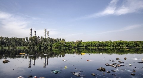 Contaminación, emergencias e indicadores biológicos