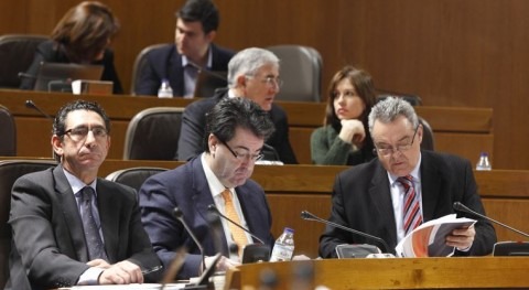 Boné (PAR) y Palacín (CHA) han presentado los textos al resto de diputados.