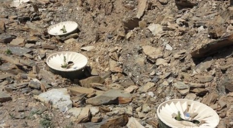 Groasis Technology: Plantar árboles desierto riego artificial