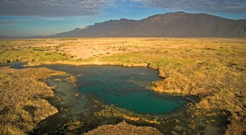 Conoce Cuatrociénegas, humedales más importantes México