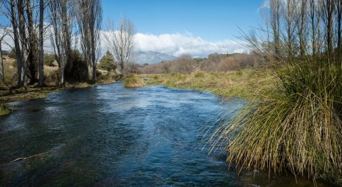 estudio encuentra que disminuye estabilidad rendimiento hídrico cuencas hidrográficas