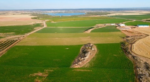 Reglamento (UE) 2020741: Retos y oportunidades uso agua regenerada agricultura