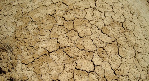 Día Mundial Desertificación, flagelo que provoca hambre y pobreza