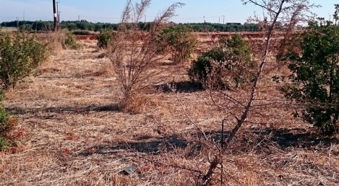 desertificación afecta casi mitad España
