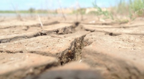 UA lidera proyecto elaborar primer atlas desertificación España