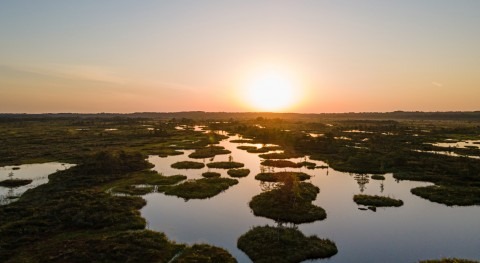 Día Mundial Humedales 2022: Actuar humedales es actuar humanidad