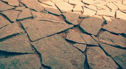 Lo que hay que saber día Mundial Lucha Desertificación y Sequía