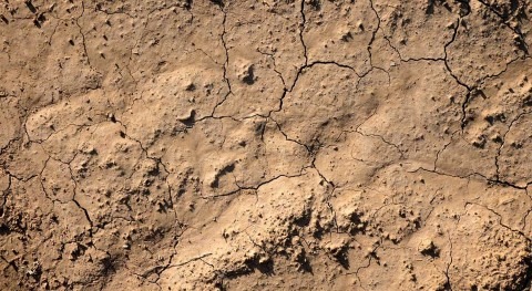 Día Mundial Lucha Desertificación y Sequía 2019: construyamos futuro juntos