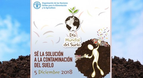 ¡Sé solución contaminación suelo! Día Mundial Suelo