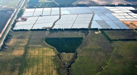 Guerra agua Doñana y explotaciones agrícolas y turísticas