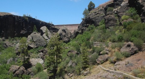 Ingeniería presas: avances extraños seguridad Presa Chira