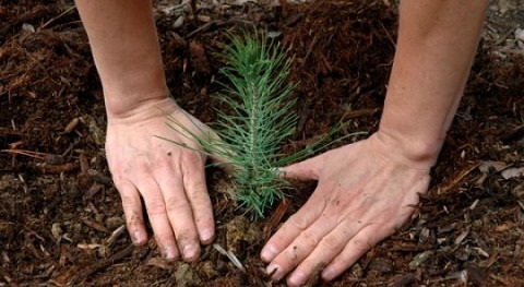 Educación ambiental, más allá sensibilización