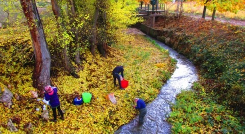 Riesgos ecológicos metales, plaguicidas y fármacos Cuenca Tajo
