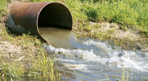 Riego agrícola agua regenerada